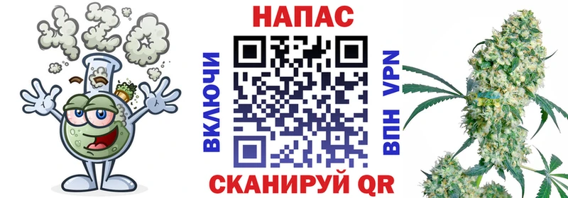 Марихуана сатива  Терек 
